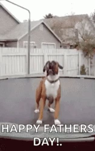 dog dad gif